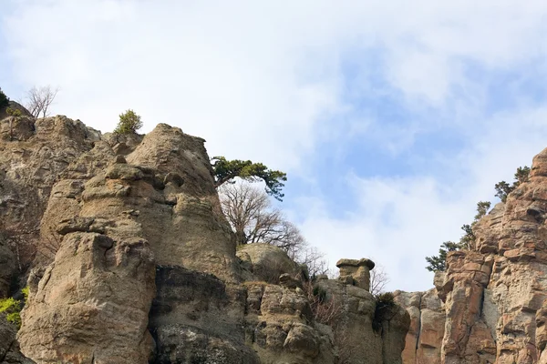 Вид на горы Роки — стоковое фото