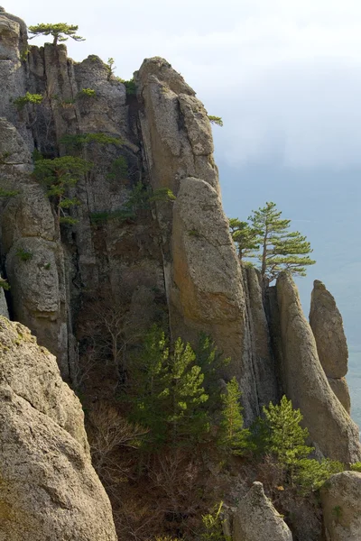 Sziklás Hegyre Szellemek Völgy Közelében Demerdzhi Mount Crimea Ukrajna — Stock Fotó