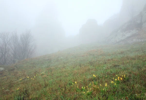 Mistige Uitzicht Rotsachtige Bergen Demerdzhi Mount Krim Oekraïne — Stockfoto