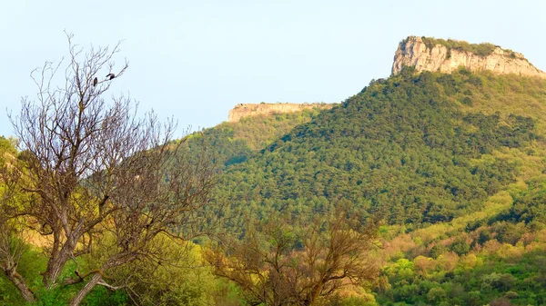 Frühling Krimgebirgslandschaft Mit Mangup Grünkohl Historische Festung Und Alte Höhlensiedlung — Stockfoto