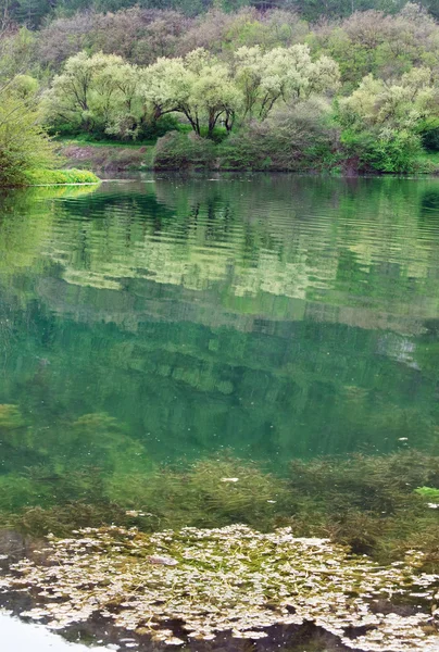 绿色春天湖 — 图库照片