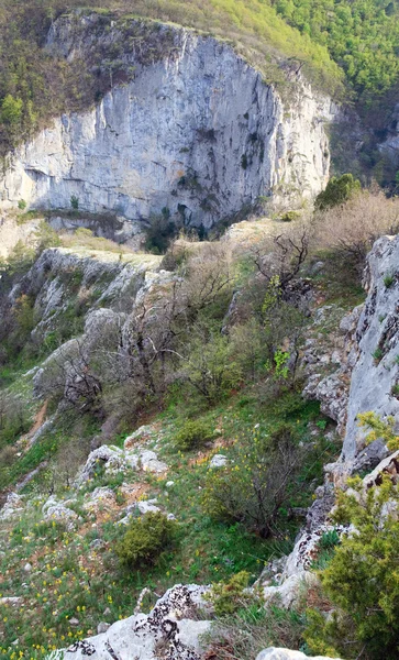 春の素晴らしいクリミアと渓谷山の景色と松の木斜面 クリミア ウクライナ — ストック写真