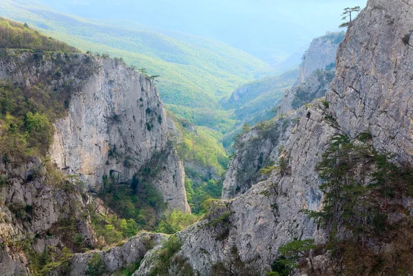 Primavera Gran Cañón Crimea Vista Montaña Con Pinos Pendiente Crimea — Foto de Stock