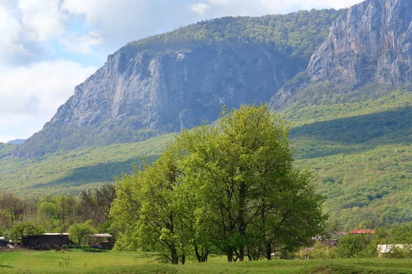 Spring mountains landscape (Crimea, Ukraine) — Stock Photo, Image