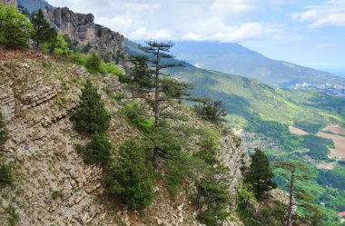 View of Yalta city from slope of Aj-Petri Mount (trail Botanical, Crimea, Ukraine) clipart