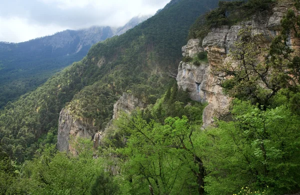 Våren Grumlig Syn Sluttningen Petri Mount Trail Botaniska Krim Ukraina — Stockfoto