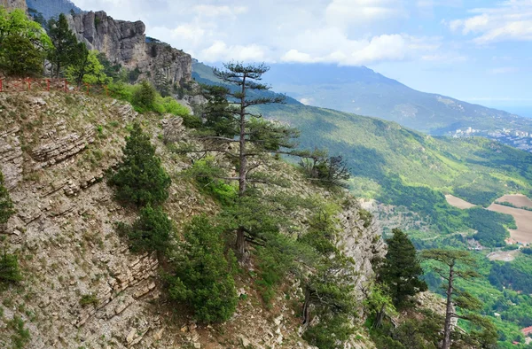 Vedere Orașului Ialta Panta Muntelui Petri Traseu Botanic Crimeea Ucraina — Fotografie, imagine de stoc