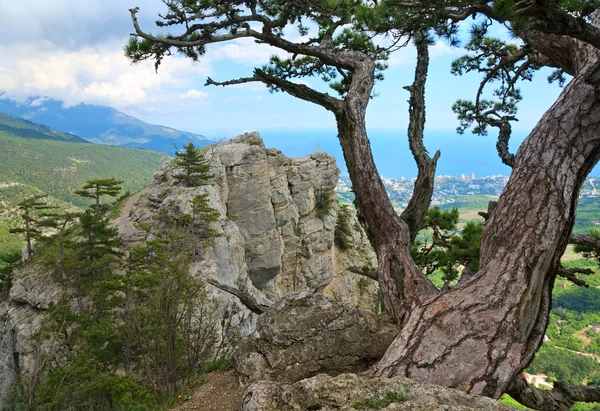 ヤルタ シティビュー ペトリネットから上記の岩の上の斜面 歩道植物 クリミア ウクライナ とキリスト教の十字をマウントします — ストック写真