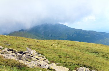 Ardıç bush ve yaz dağın (Ukrayna, Karpat Dağları üzerinde büyük taşlar)