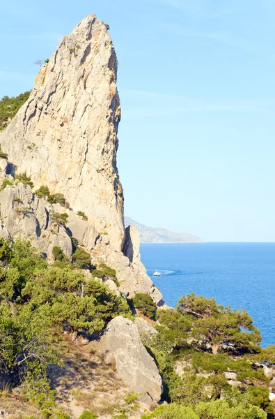 Fantasifulla stenar på kusten — Stockfoto