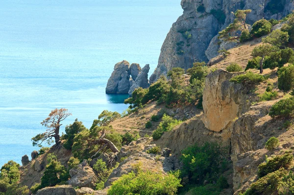 Costa Rocosa Con Los Pinos Novyj Svit Reserva Crimea Ucrania — Foto de Stock