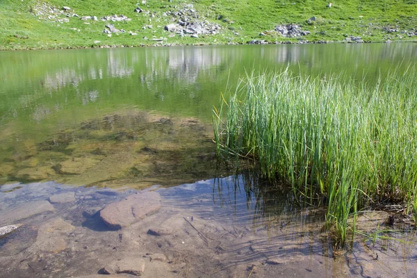 Lago alpino Nesamovyte en las montañas de verano —  Fotos de Stock