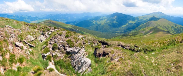 Große Steine Sommerberghang Ukraine Karpaten Drei Schüsse Stich Bild — Stockfoto
