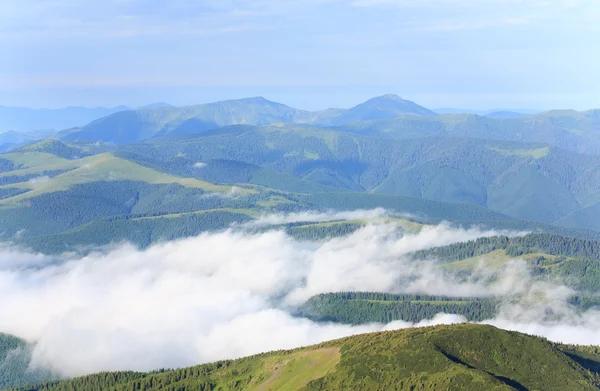 夏曇りがちな山の風景 ウクライナ カルパティア山脈 — ストック写真