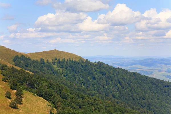 夏の斜面の緑の森とキリスト教の十字 ウクライナ カルパティア山脈の上に霧深い山の風景 — ストック写真