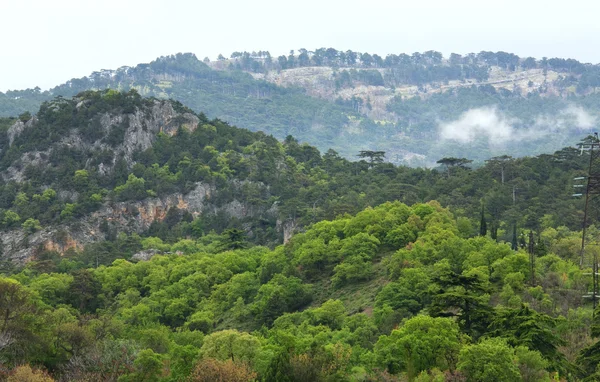 Spring Crimea Mountain Landscape Ukraine — Stock Photo, Image