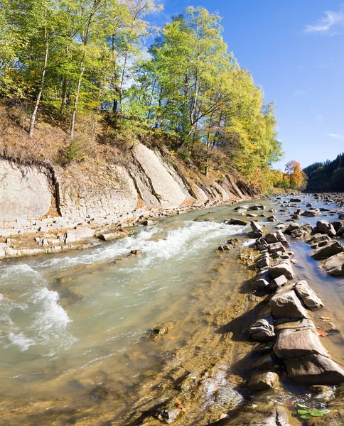 Herbst Berg Steinigen Flussblick Mit Bunten Bäumen Flussufer Zwei Schüsse — Stockfoto