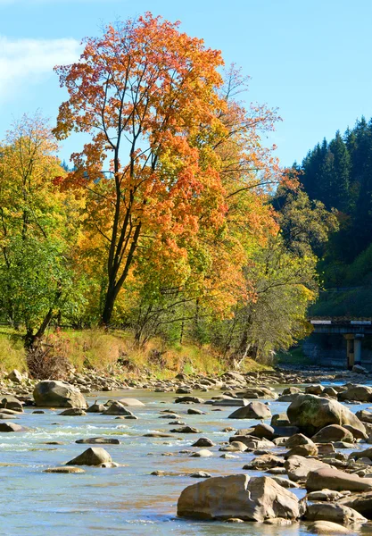Outono montanha rio pedregoso — Fotografia de Stock