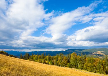 Beautiful autumn mountain (Carpathian, Ukraine) clipart