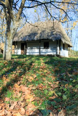 Ukraynalı tarihsel ülke ahşap kulübe thatched çatı ve yanında sonbahar Bahçe çim