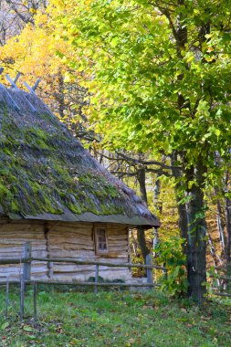 Ukraynalı tarihsel ülke ahşap kulübe çatı thatched moss büyümüş