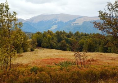 Autumn mountain road view clipart