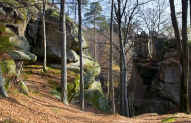 Lofty stones in forest clipart