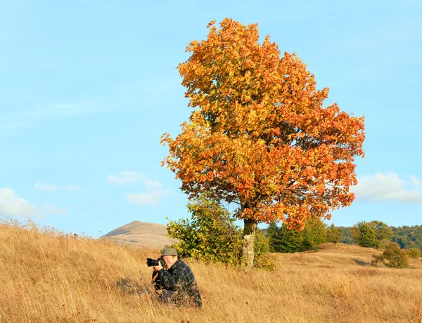 摄影师附近寂寞秋天树上喀尔巴阡山 晚上有很多云的天空 — 图库照片