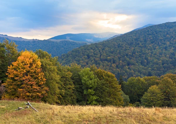 Mooie Ochtend Herfst Berg Mount Karpaten Oekraïne — Stockfoto