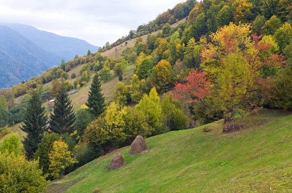 Schöner Herbstberg Und Heuhaufen Berghang Karpaten Ukraine — Stockfoto