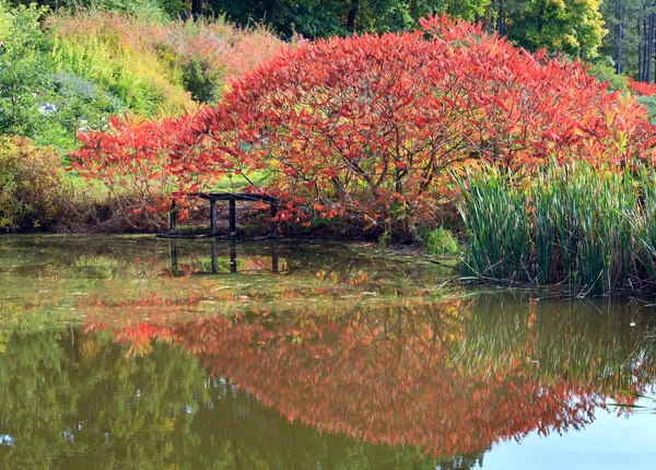 Sonbahar Şehir Parkı — Stok fotoğraf