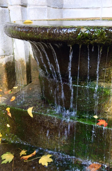 Невеликий Водоспад Формі Чаші Жовтий Лист Осінньому Парку — стокове фото