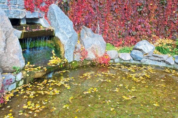 Small pond in autumn city park