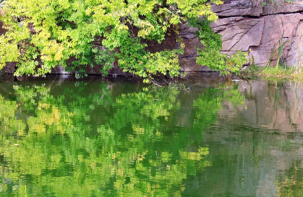 色鮮やかな木々 と岩の湖畔秋の公園での反射の池水表面 — ストック写真
