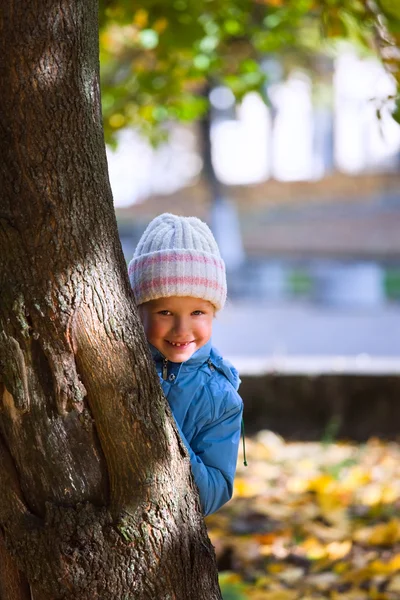 Mała Dziewczynka Grający Jesień Parku Pobliżu Duży Klon Złota — Zdjęcie stockowe