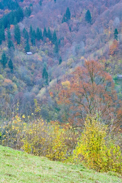 Herfst berghelling weergave — Stockfoto