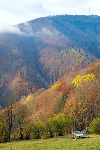 Осенний вид на горы — стоковое фото