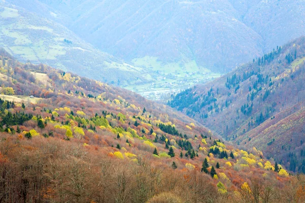 Φθινόπωρο με θέα στο βουνό — Φωτογραφία Αρχείου