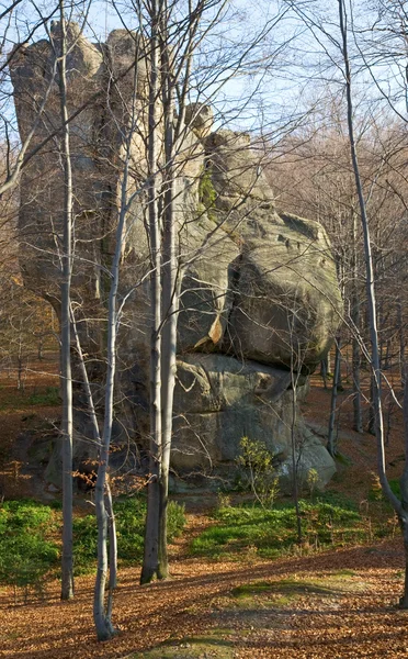 Large Lofty Stone Autumn Forest Skeli Dovbusha Ivano Frankovsk Region — Stock Photo, Image