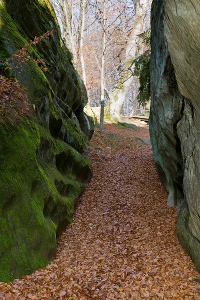 Large Lofty Stone Autumn Forest Skeli Dovbusha Ivano Frankovsk Region — Stock Photo, Image