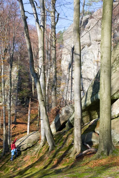 大きい石 Skeli Dovbusha イバノフランコフスク地域 ウクライナで秋の森の中を歩くの家族 — ストック写真