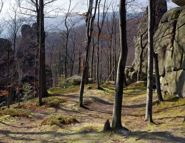 Gran Piedra Noble Bosque Otoño Skeli Dovbusha Región Ivano Frankovsk — Foto de Stock