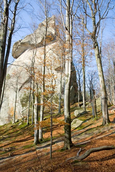 Duży Wzniosłego Kamienia Jesiennym Lesie Skeli Dovbusha Iwano Frankowsk Region — Zdjęcie stockowe