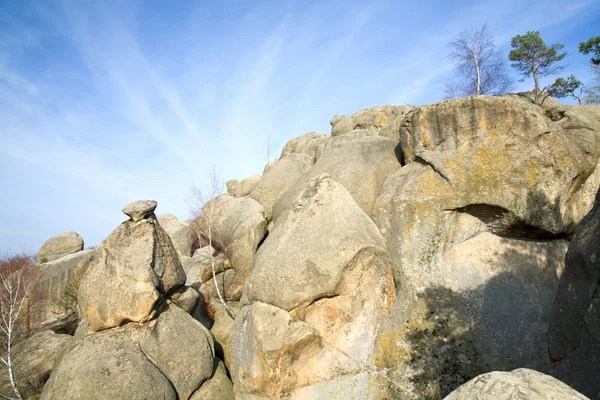 Fa, a sziklák tetején — Stock Fotó