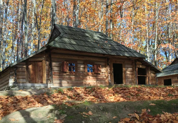 Antico casale in legno di campagna nella foresta autunnale — Foto Stock