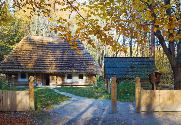 ウクライナの歴史の国の農場は わらぶき屋根や手前の塀に木造の小屋 — ストック写真