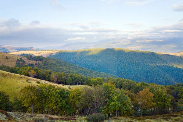 Karpaten Oekraïne Herfst Landschap Met Groene Bossen Bewolkte Hemel — Stockfoto