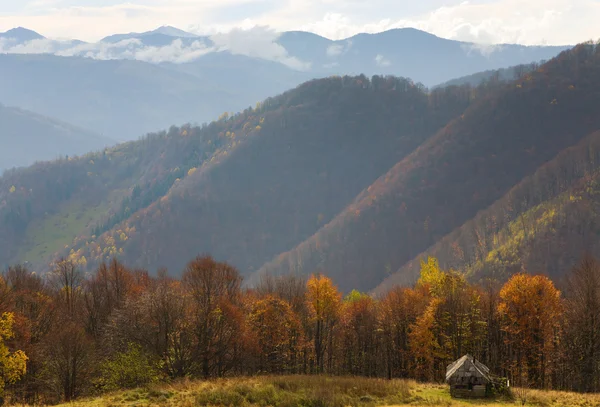 Montanhas Cárpatas Ucrânia Paisagem Outono Com Criação Gado Fazenda — Fotografia de Stock