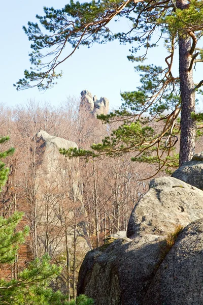 秋の森と岩の上 Skeli Dovbusha イバノフランコフスク地域 ウクライナに大きな木に大きな高尚な石 — ストック写真