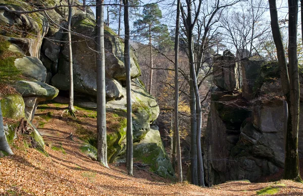 Lofty stones in forest — Stock Photo, Image